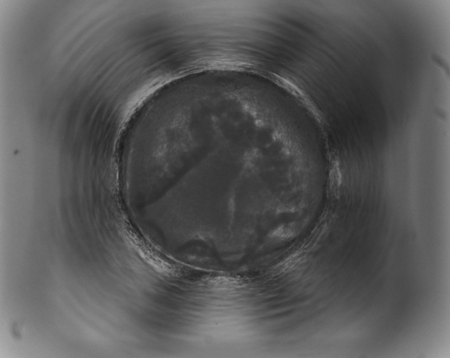 X0000102241027200808081431