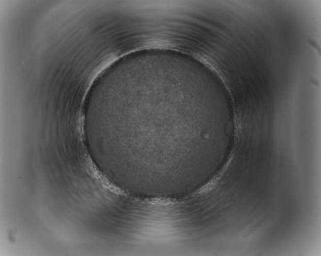 X0000102241029200808081431