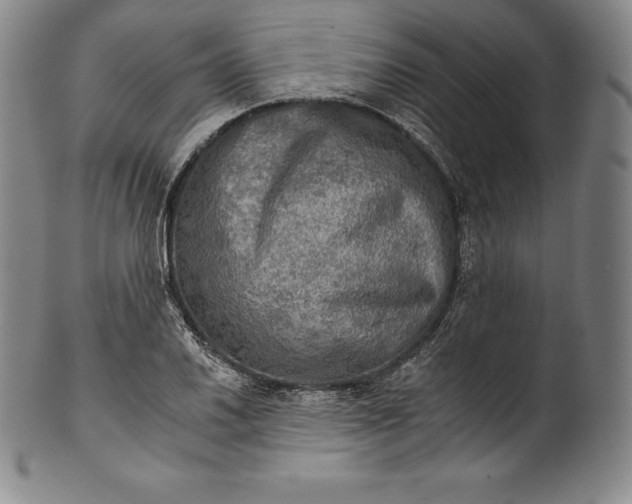 X0000102241030200808081431