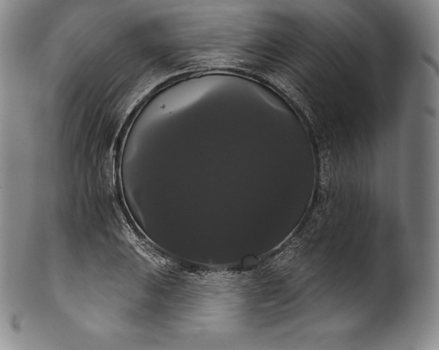 X0000102241031200808081431