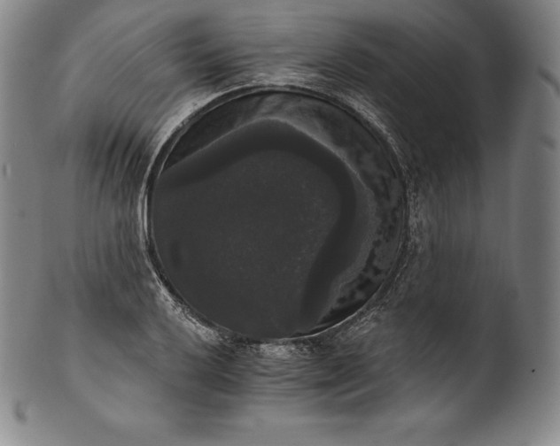 X0000102241032200808081431