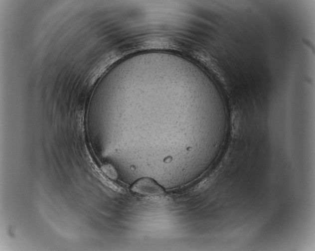 X0000102241033200808081431