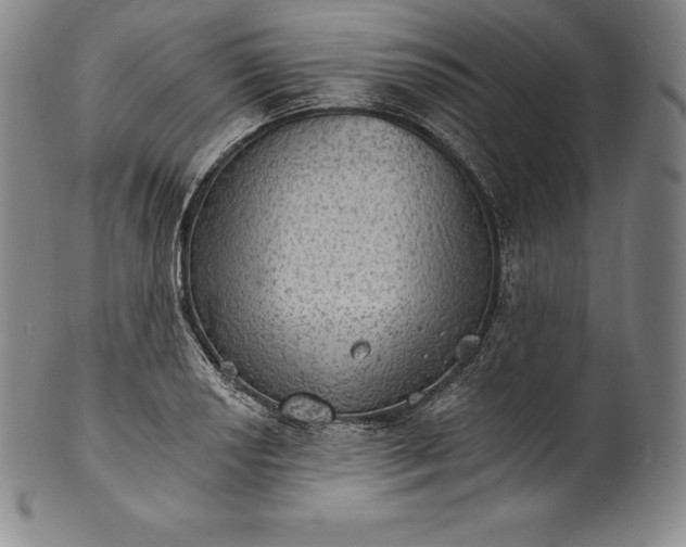 X0000102241034200808081431