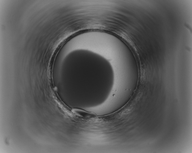 X0000102241037200808081431