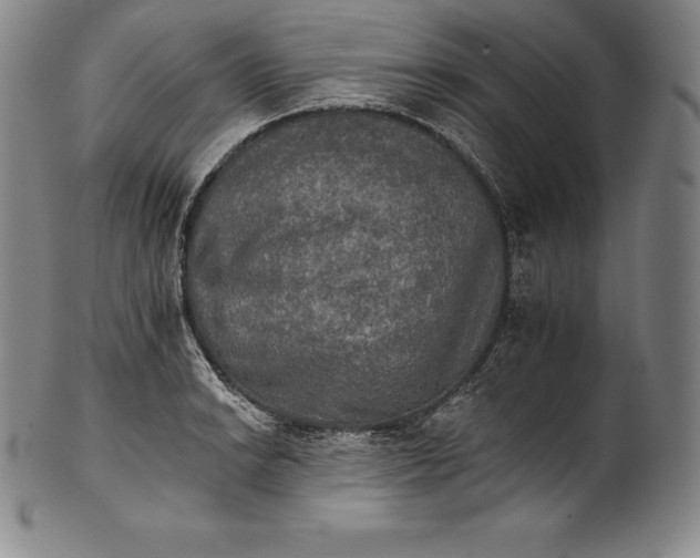 X0000102241038200808081431