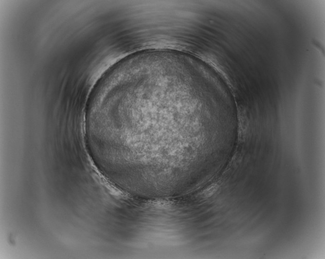 X0000102241040200808081431