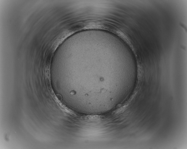 X0000102241041200808081431