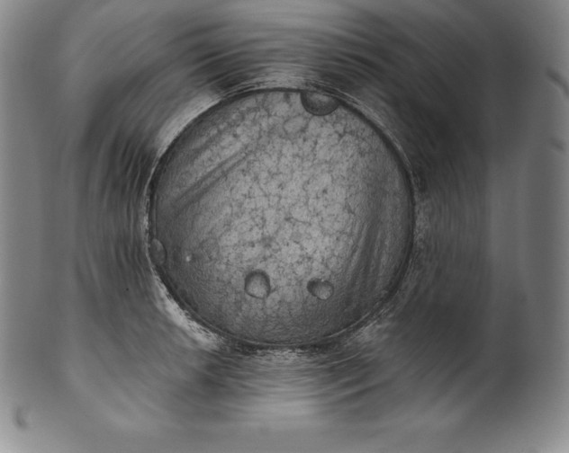 X0000102241042200808081431