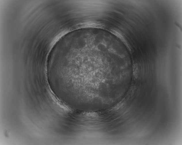 X0000102241043200808081431