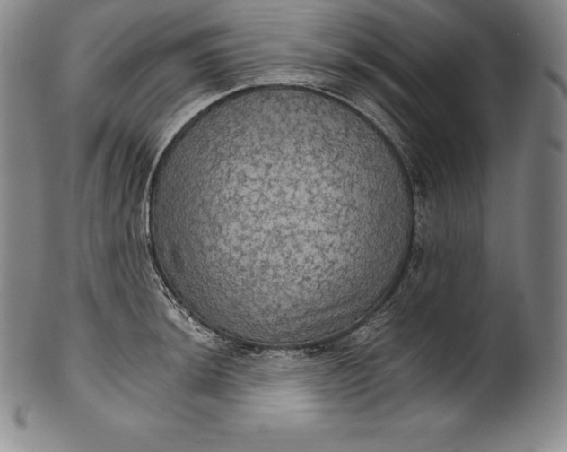 X0000102241044200808081431