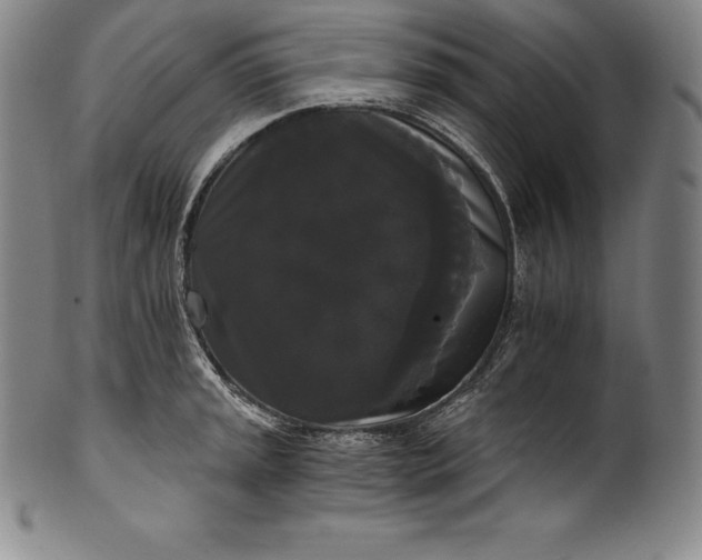 X0000102241045200808081431