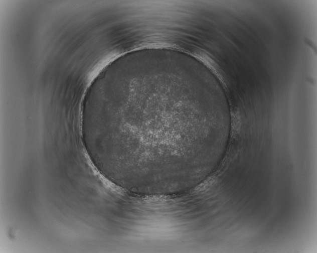 X0000102241046200808081431