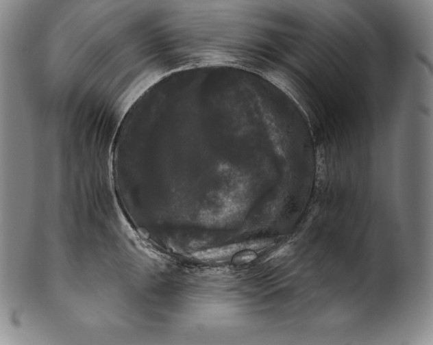 X0000102241047200808081431