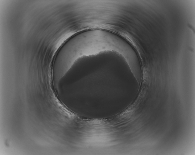 X0000102241048200808081431