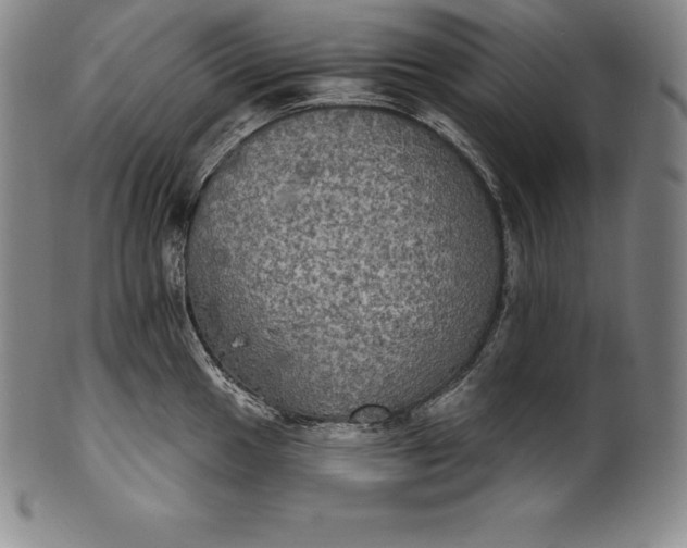 X0000102241049200808081431