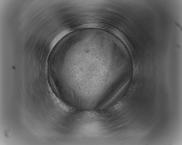 X0000102241050200808081431