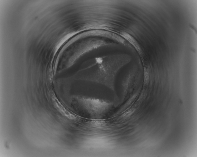 X0000102241052200808081431