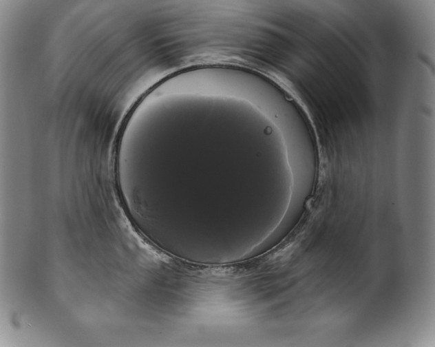 X0000102241053200808081431