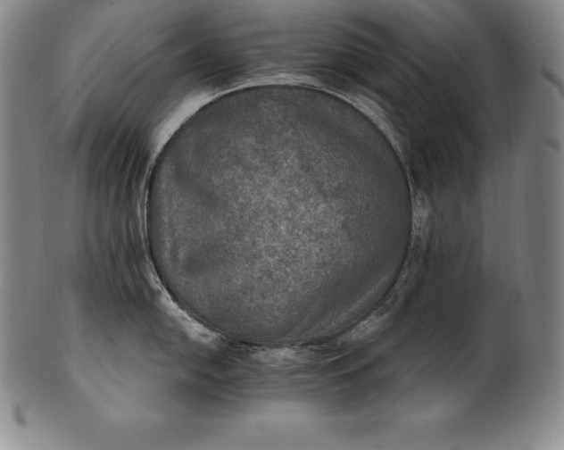 X0000102241054200808081431