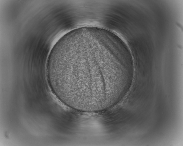 X0000102241056200808081431