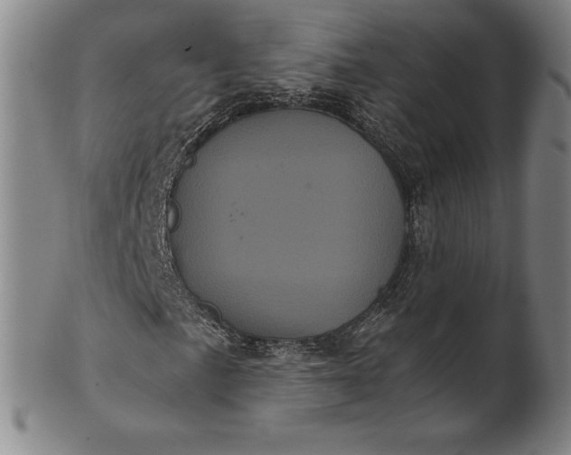 X0000102241057200808081430