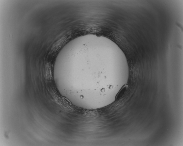 X0000102241058200808081430