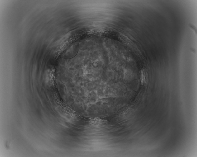 X0000102241059200808081430