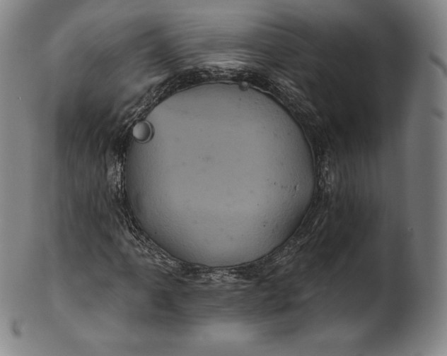 X0000102241061200808081430