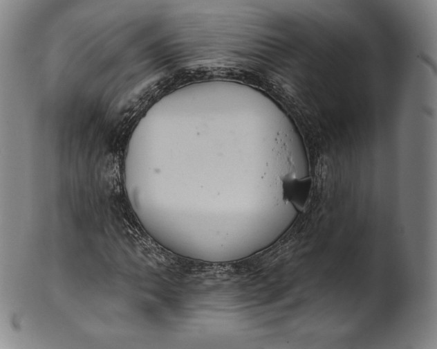 X0000102241062200808081430