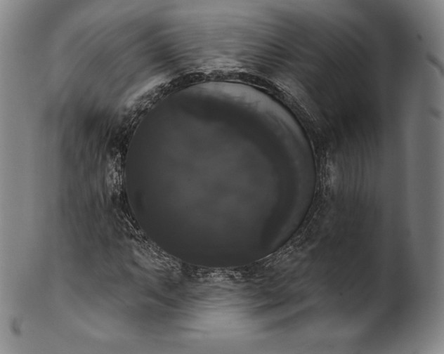 X0000102241063200808081430