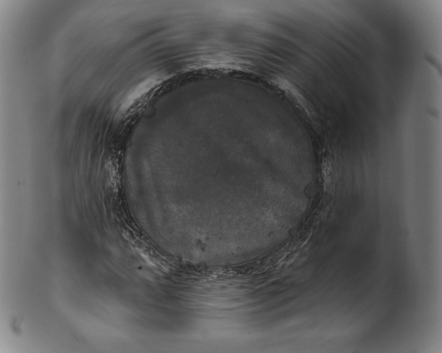 X0000102241064200808081430