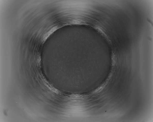 X0000102241065200808081430