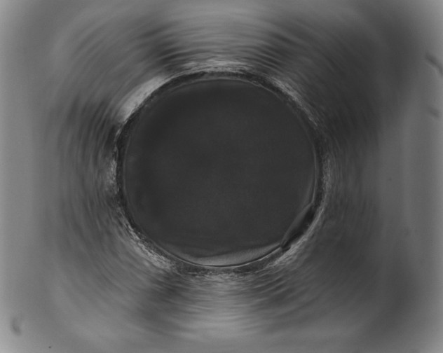 X0000102241066200808081430