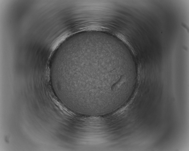 X0000102241067200808081430