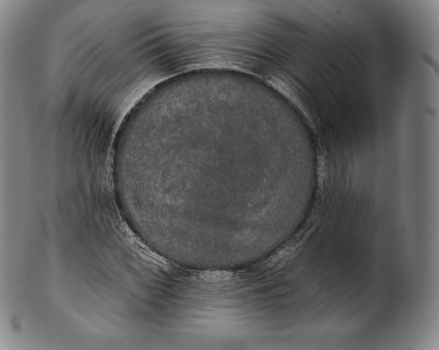 X0000102241068200808081430