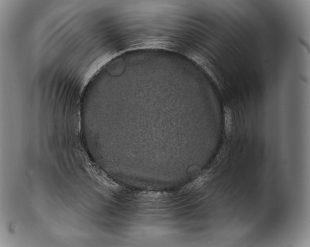 X0000102241069200808081430