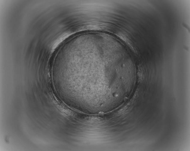 X0000102241070200808081430