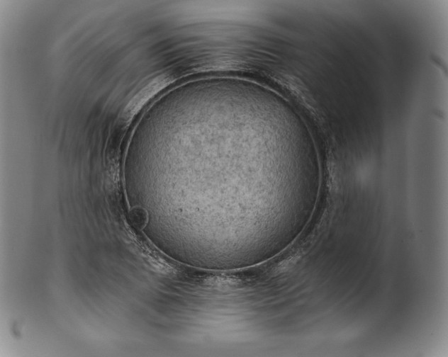 X0000102241073200808081430