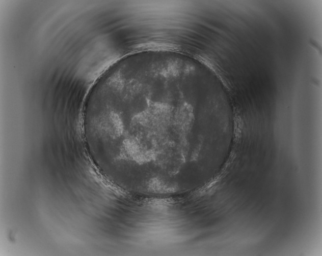 X0000102241074200808081430