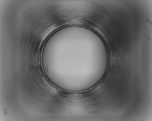 X0000102241075200808081430