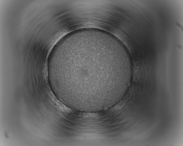 X0000102241076200808081430