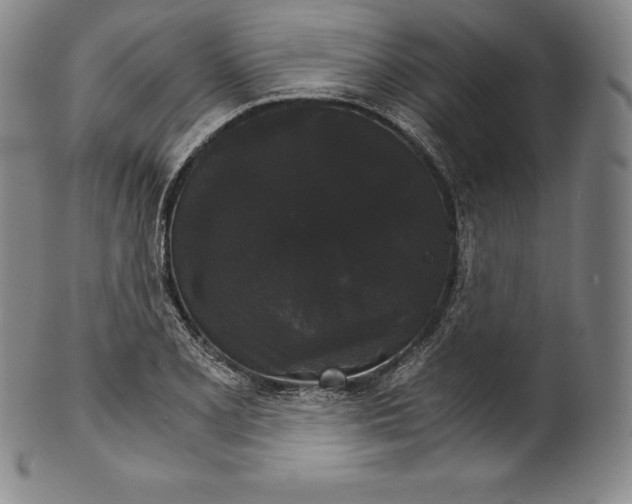 X0000102241077200808081430