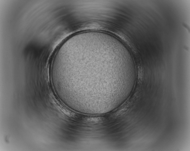 X0000102241078200808081430