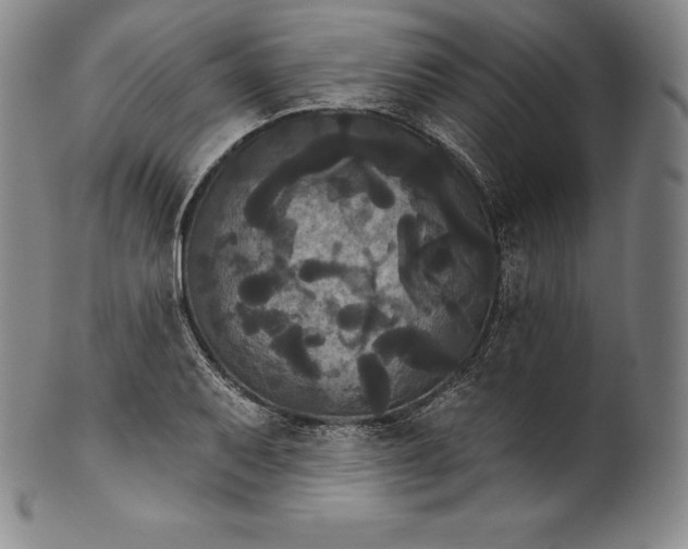 X0000102241079200808081430