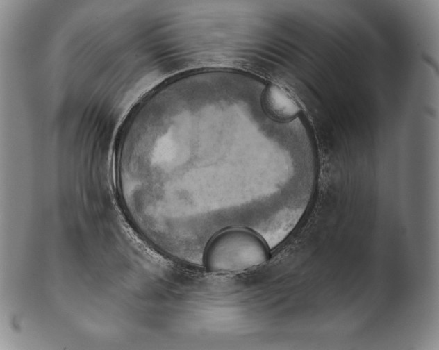 X0000102241080200808081430