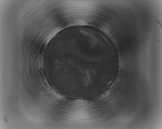 X0000102241081200808081430