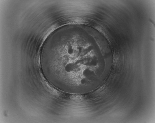 X0000102241083200808081430