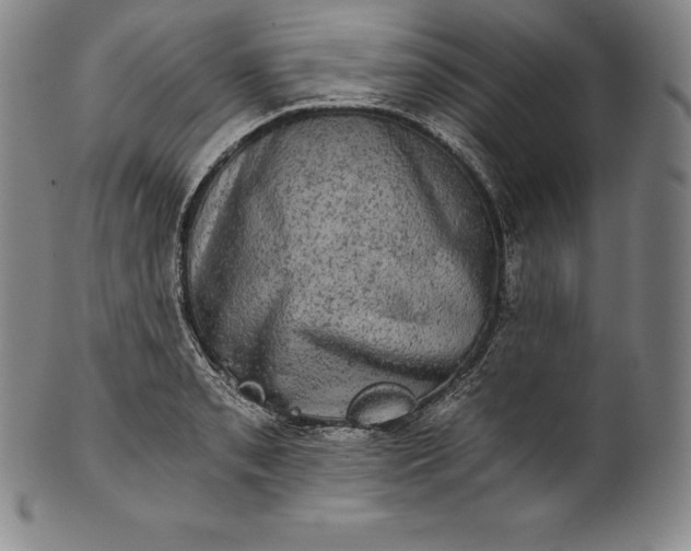 X0000102241085200808081430