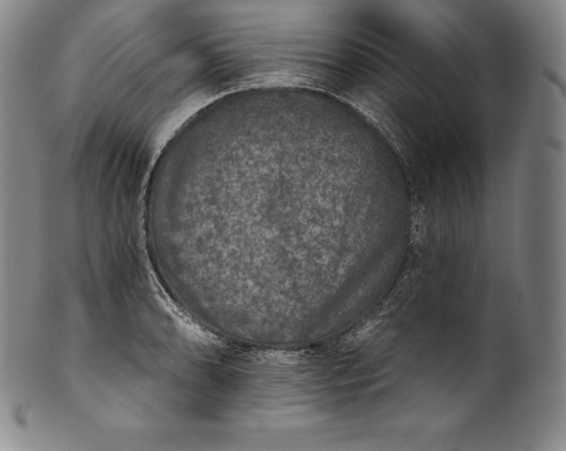 X0000102241086200808081430