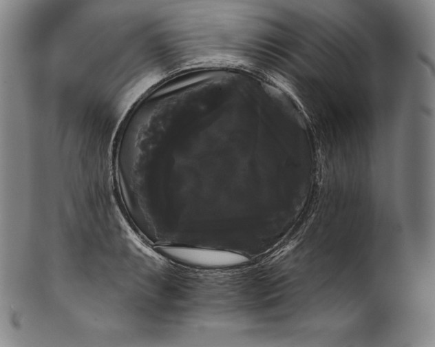 X0000102241087200808081430